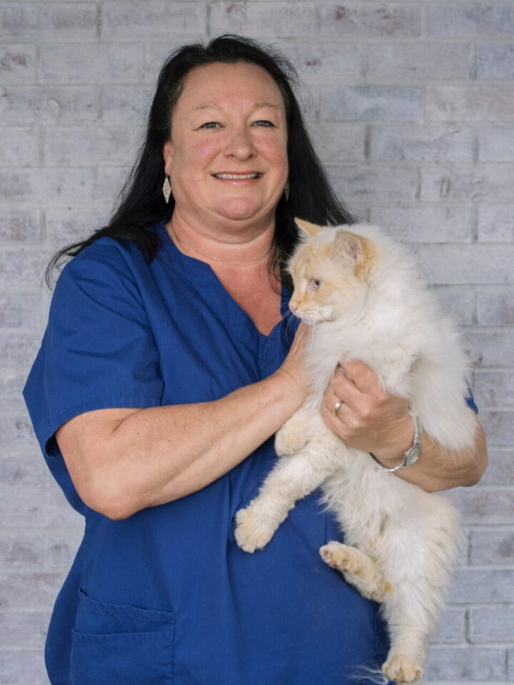 Angela herrington madison ridgeland animal hospital