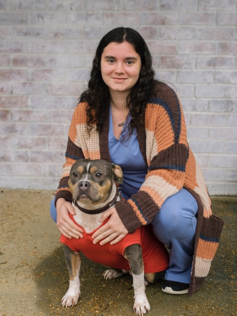 Boarding & Grooming Services Madison Ridgeland Animal Hospital