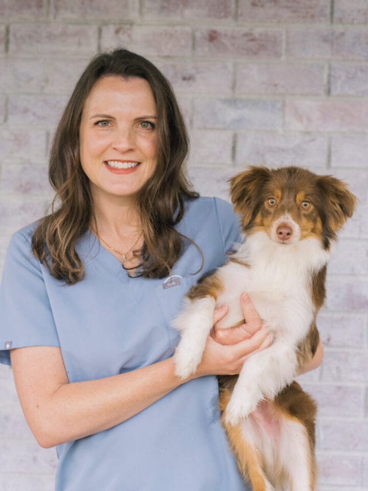 Dr. Kaysey Faulkner Madison Ridgeland Animal Hospital