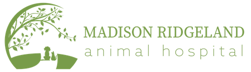 Madison Ridgeland Animal Hospital logo